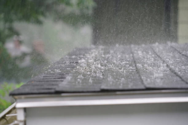 Best Roof Moss and Algae Removal  in Berne, IN